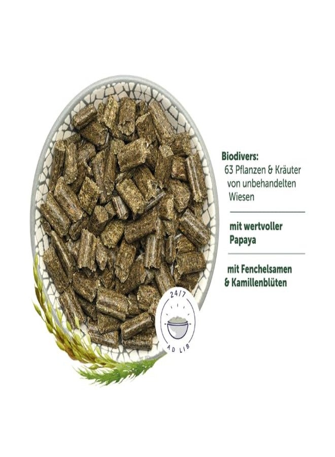 باني ناتشر سوبر بريميوم فود رابيت دريم فيتاليتي | طعام جاف عالي القيمة الغذائية للأرانب | حبيبات علف | لجميع مراحل الحياة | عبوة 1.5 كجم | نظام غذائي طبيعي ومتوازن غني بالفيتامينات والمعادن والألياف - Image 3